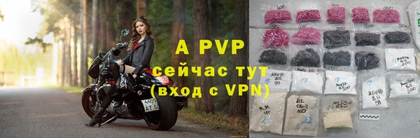 молекула духа Медногорск