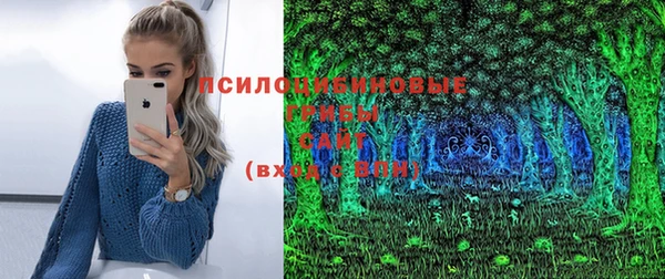 прущие крисы Медвежьегорск