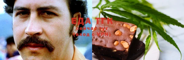 прущие грибы Бердск