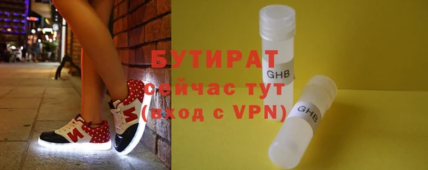 прущие грибы Бердск