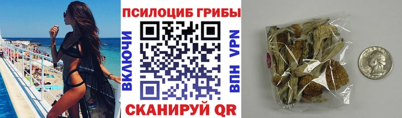 Галлюциногенные грибы прущие грибы  даркнет наркотические препараты  Юрюзань 